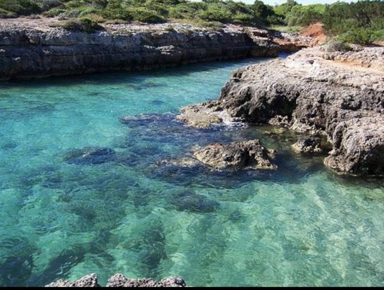 Villa Giovanna Villanova di Ostuni Ngoại thất bức ảnh